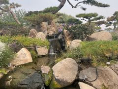 -罗红摄影艺术馆