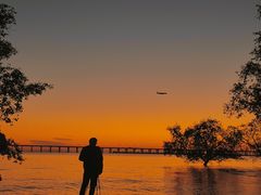 -宝安西湾红树林湿地公园