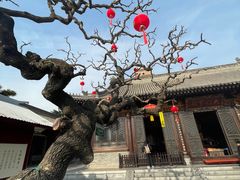 -大慈恩寺(大雁塔)
