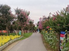 -武汉紫薇都市田园