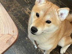 -三目仓咖啡(贤南路店)