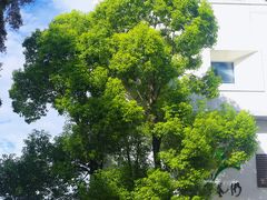 -广州市紫泥堂文化创意园景区