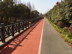 -上海长兴岛郊野公园