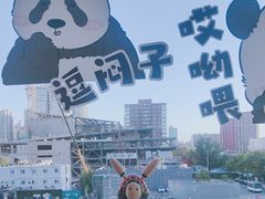 -小吊梨汤·北京菜·烤鸭(双井乐成中心店)