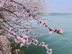 -颐和园