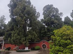 -武侯墓风景区