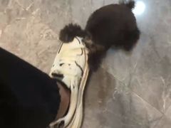 -唐小姐の猫狗洗护·购宠旗舰店(周浦万达店)