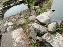 -MOJ coffee(瓯海泽雅水碓坑店)