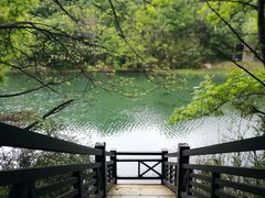 -白马涧龙池景区