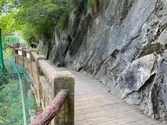 -汉中石门栈道风景区