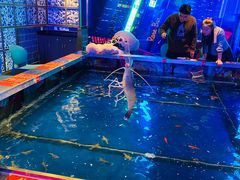 -钳真多钓虾馆·小龙虾海鲜烧烤(九六广场店)