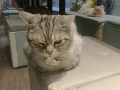 -小时光咖啡馆(开森度假森林店)