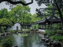 -月湖公园