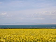 -青海湖国家重点风景名胜区