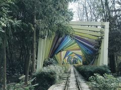 -合肥滨湖国家森林公园