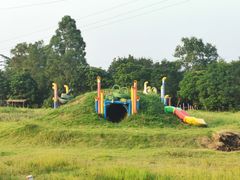 -庭苑美食中心·陈皮烧鹅·海鲜(台山店)