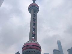 -上海大自然野生昆虫馆(东方明珠·爬宠昆虫探索中心)