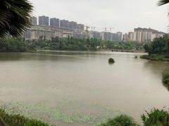 -枫香湖儿童公园