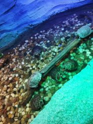 -酷嗒动物文化乐园(cutezoo西溪乐天城店)