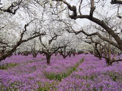 -江苏三台山国家森林公园