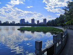 -莲花池公园