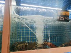 -金龙·打边炉(南京西路店)