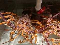 -万龙洲海鲜(大兴绿地缤纷城店)