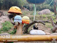 -广州长隆野生动物世界