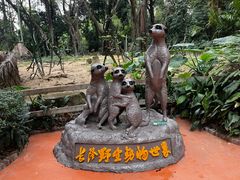 -广州长隆野生动物世界
