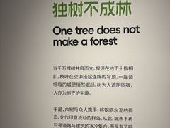 -中国湿地博物馆