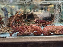 -阿伟海鲜楼·福建菜(延寿店)