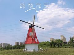 -菊园百果园