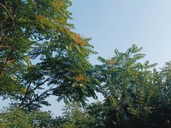 -大连星海广场音乐喷泉