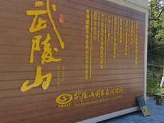 -武陵山森林公园