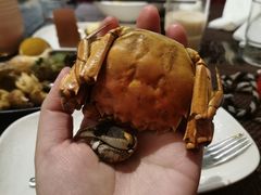 -长沙北辰洲际酒店-兰调全日餐厅