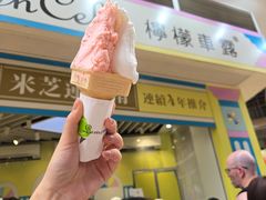 -柠檬车露(卖草地店)