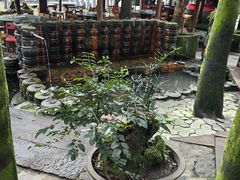 -土砂锅生态山庄·非遗砂锅雅鱼