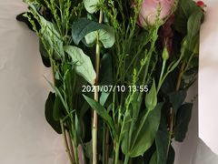 -双季花艺园艺市场(浦东店)