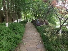 -白马涧龙池景区