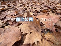 -丽池公园