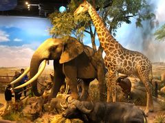 -陕西自然博物馆