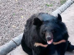 -北京野生动物园