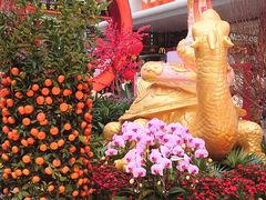 店内环境-越秀西湖花市(广州城市广场花卉店)