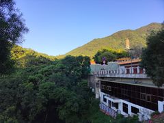 -深圳仙湖植物园