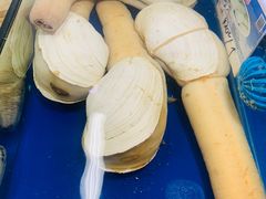 -鸿港海鲜批发市场