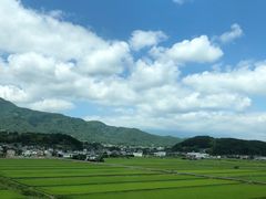 -宫城藏王狐狸村