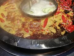 -渝大狮毛肚老火锅(普陀店)