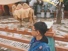 -郑州银基国际旅游度假区