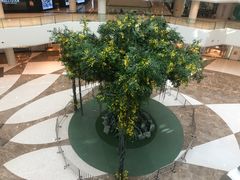 -GODIVA(万象城店)