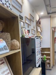 -恐龙·美甲美睫